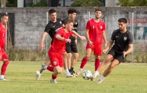 asteras karditsas - miltiadhs 2
